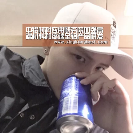 中铝材料应用研究院加强高端材料和终端全铝产品研发-星空官网(图2) 星空平台
