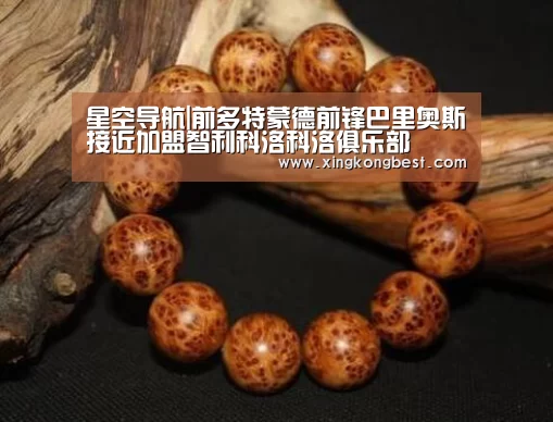星空导航|前多特蒙德前锋巴里奥斯接近加盟智利科洛科洛俱乐部(图1) 星空导航