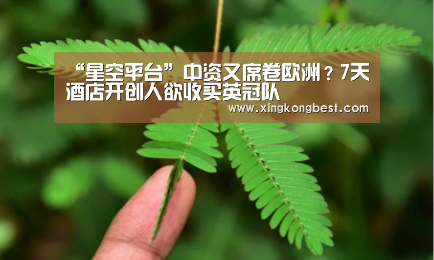 “星空平台”中资又席卷欧洲?7天酒店开创人欲收买英冠队(图3) 星空平台
