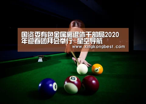 国资委有色金属离退休干部局2020年迎春团拜会举行-星空导航(图3) 星空直播