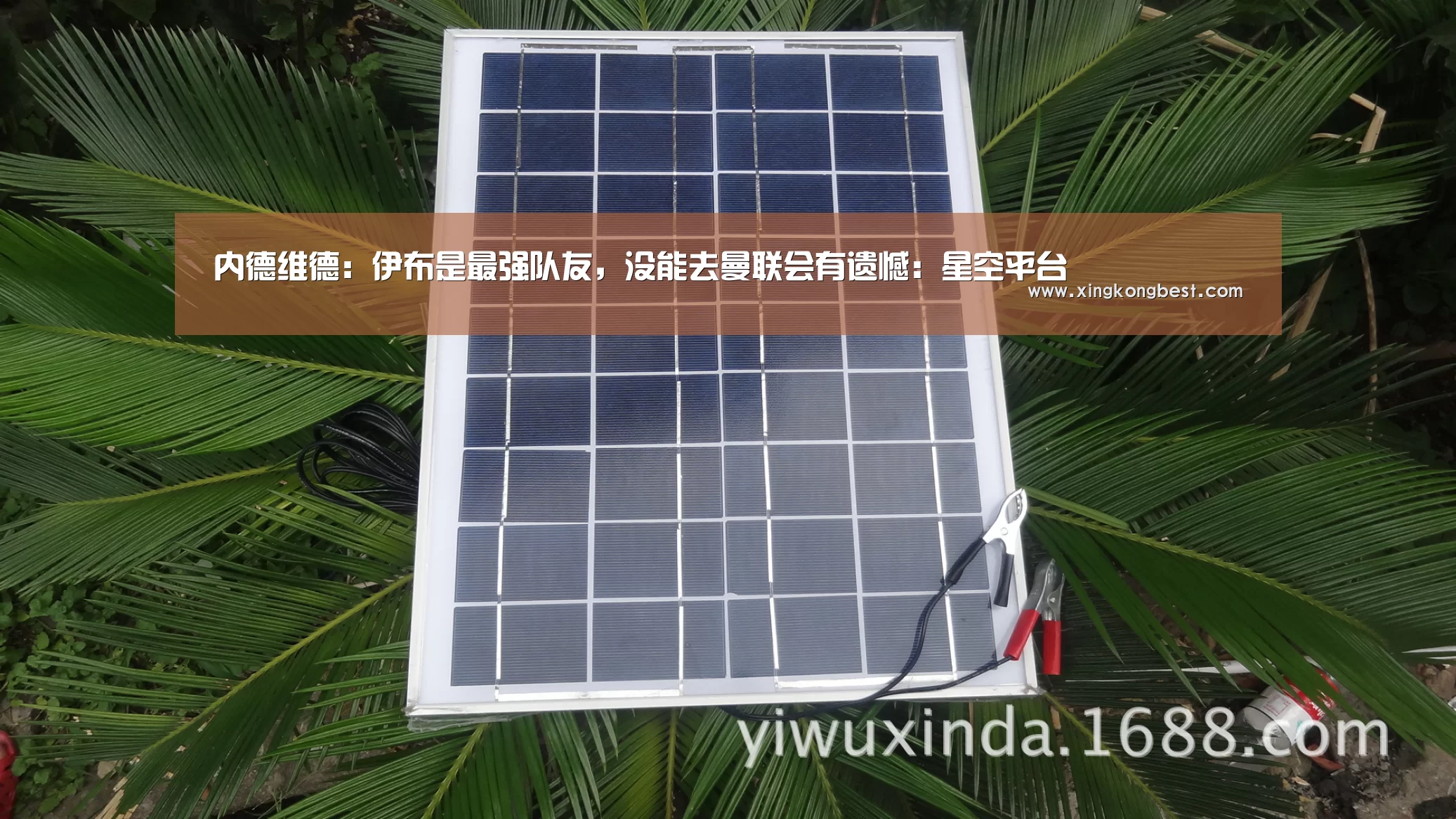 内德维德:伊布是最强队友,没能去曼联会有遗憾:星空平台(图1) 星空官网