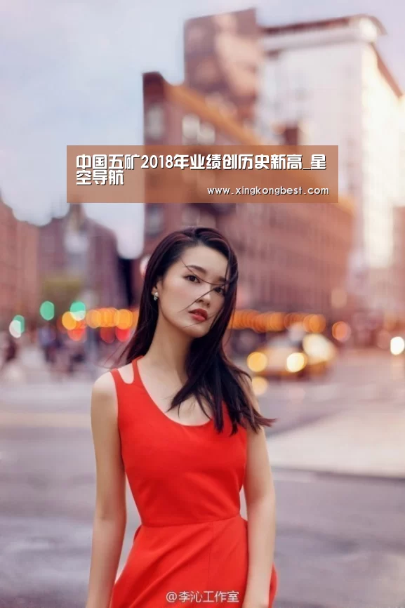 中国五矿2018年业绩创历史新高_星空导航(图2) 星空导航